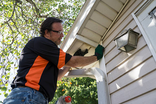 Best Hoarding Cleanup  in Mcewen, TN